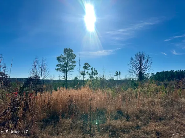 $499,000 | 3438 Attala Road 3027, Kosciusko, MS 39090