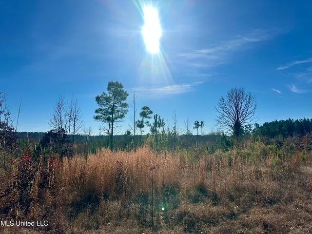 $528,000 | 3438 Attala Road 3027, Kosciusko, MS 39090