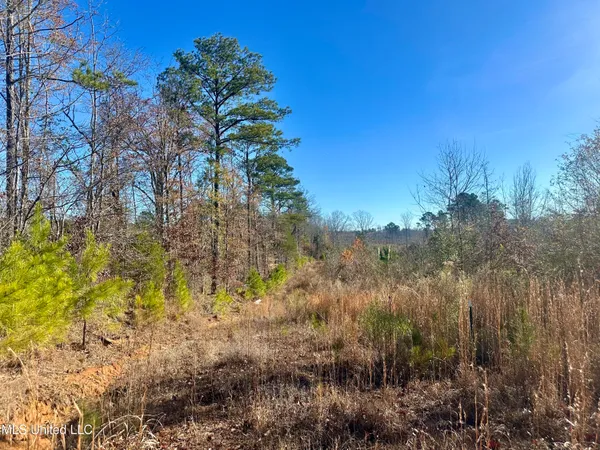 $499,000 | 3438 Attala Road 3027, Kosciusko, MS 39090