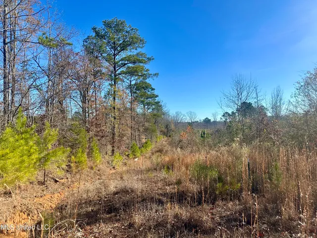 $528,000 | 3438 Attala Road 3027, Kosciusko, MS 39090
