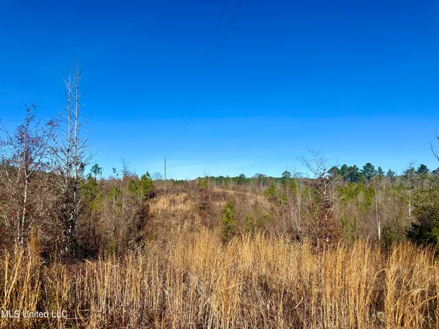 $528,000 | 3438 Attala Road 3027, Kosciusko, MS 39090