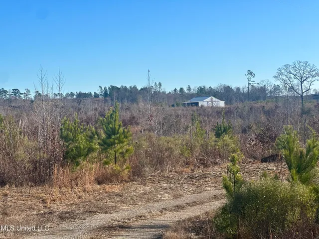 $528,000 | 3438 Attala Road 3027, Kosciusko, MS 39090