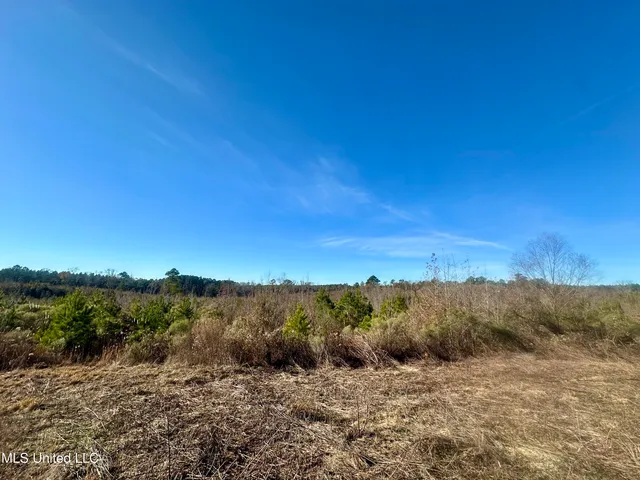 $528,000 | 3438 Attala Road 3027, Kosciusko, MS 39090