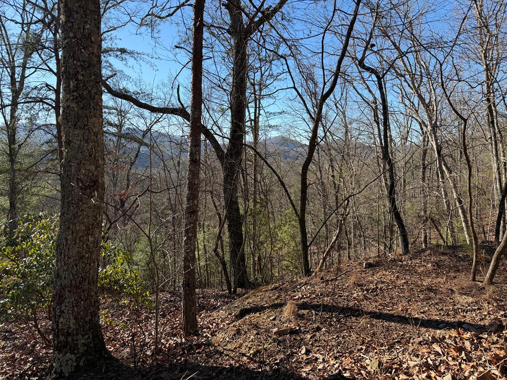 0 Mission Ridge Drive Hayesville, NC 28904 - Photo 1 of 13 a view of a tree