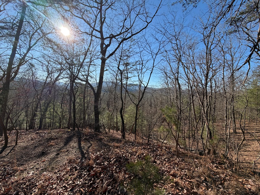 0 Mission Ridge Drive Hayesville, NC 28904 - Photo 12 of 13 a backyard of a house with lots of green space