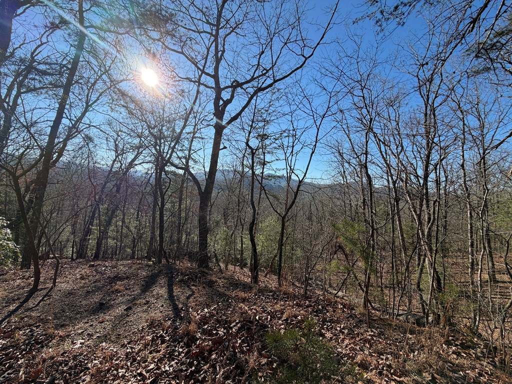 0 Mission Ridge Drive Hayesville, NC 28904 - Photo 13 of 13 a backyard of a house with lots of green space