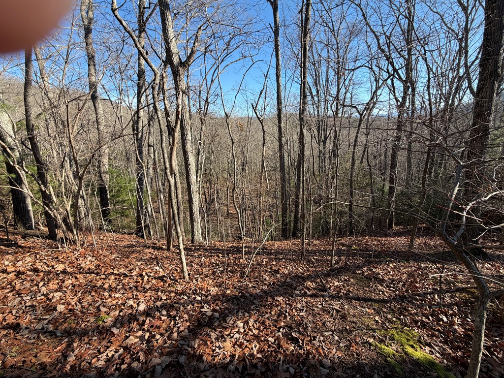0 Mission Ridge Drive Hayesville, NC 28904 - Photo 4 of 13 a backyard of a house with lots of green space
