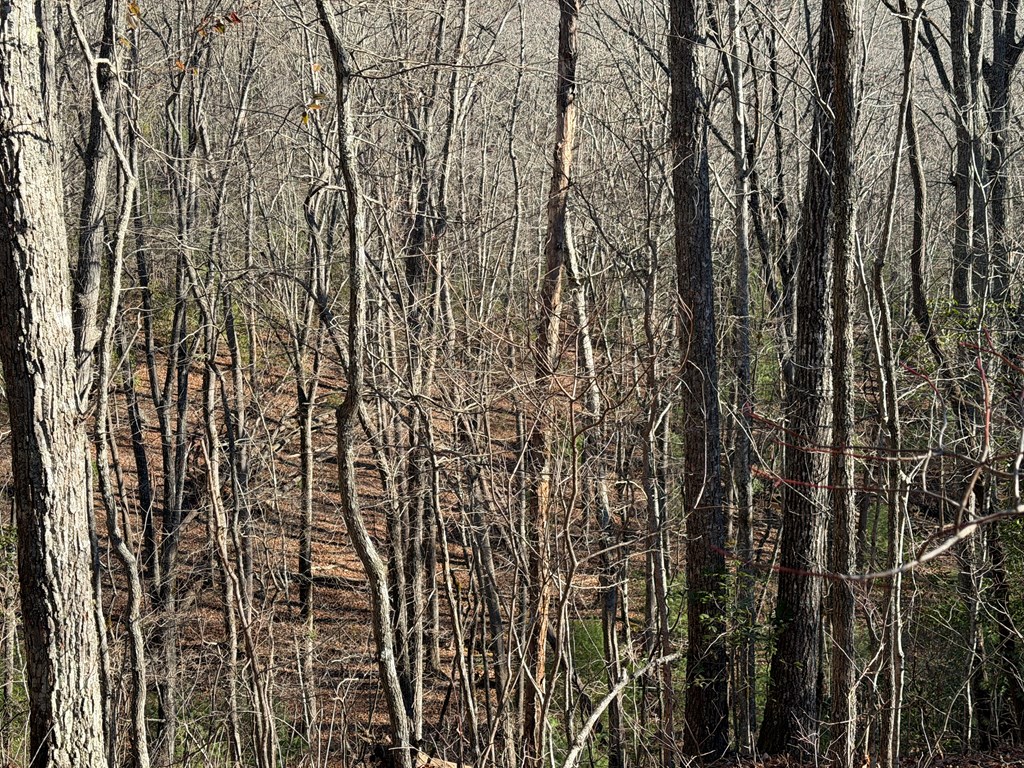 0 Mission Ridge Drive Hayesville, NC 28904 - Photo 5 of 13