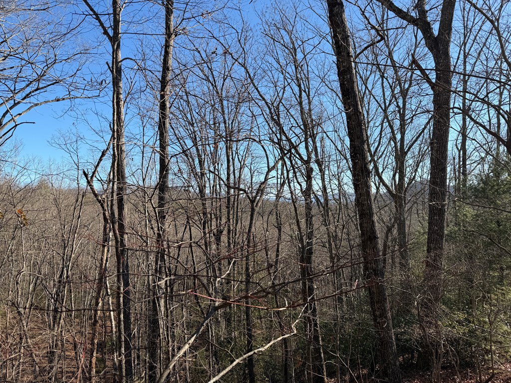 0 Mission Ridge Drive Hayesville, NC 28904 - Photo 6 of 13 a backyard of a house with lots of green space