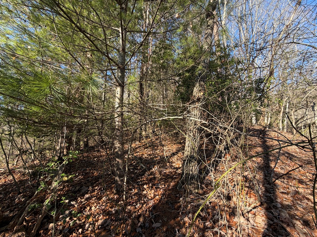 0 Mission Ridge Drive Hayesville, NC 28904 - Photo 7 of 13 a view of a yard