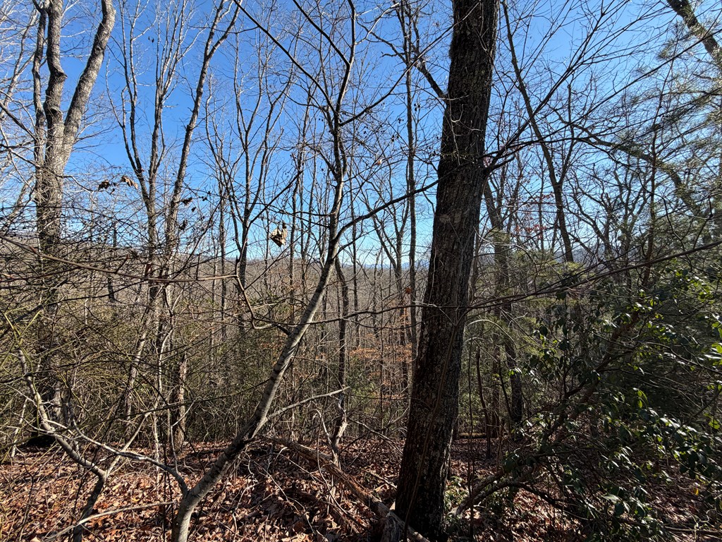 0 Mission Ridge Drive Hayesville, NC 28904 - Photo 8 of 13 a view of a yard