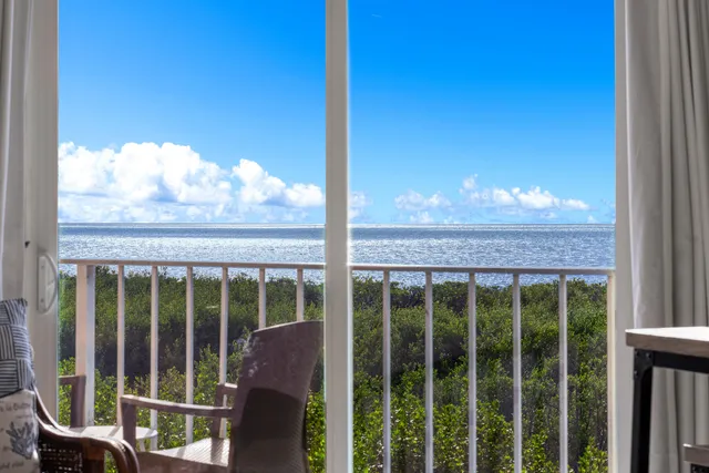 a view of a glass door with a tree