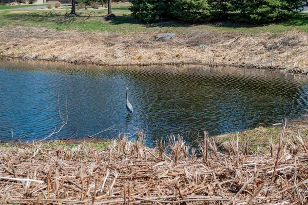 $289,900 | 12105 Yancy Street Northeast, Unit A, Blaine, MN 55449