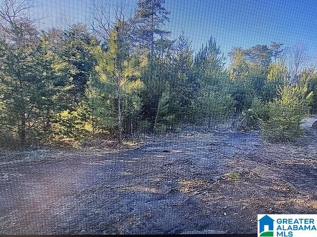 13330 Lock 17 Road, Unit ACREAGE Adger, AL 35006 - Photo 10 of 10 Gallery Image 10
