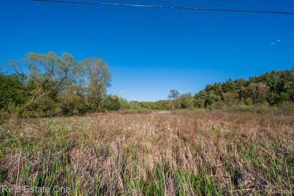 5375 Pleasant Valley Road Brighton, MI 48114 - Photo 16 of 75