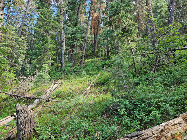 30 East Pine Creek Road South, Unit 30 Mount Pleasant, UT 84647 - Photo 12 of 14 View of wooded area