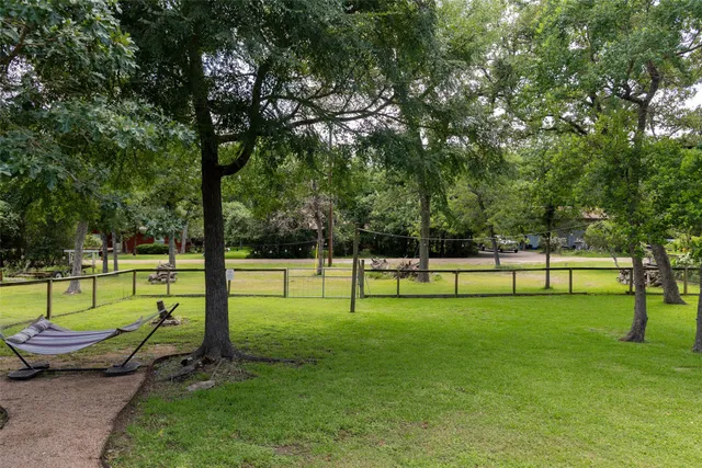 a view of a park with large trees