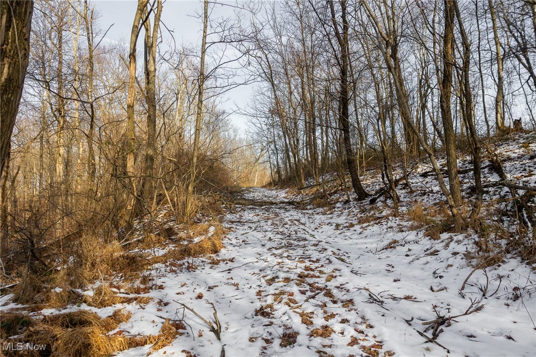 9 County Road New Matamoras, OH 45767 - Photo 27 of 48 View of snow covered land