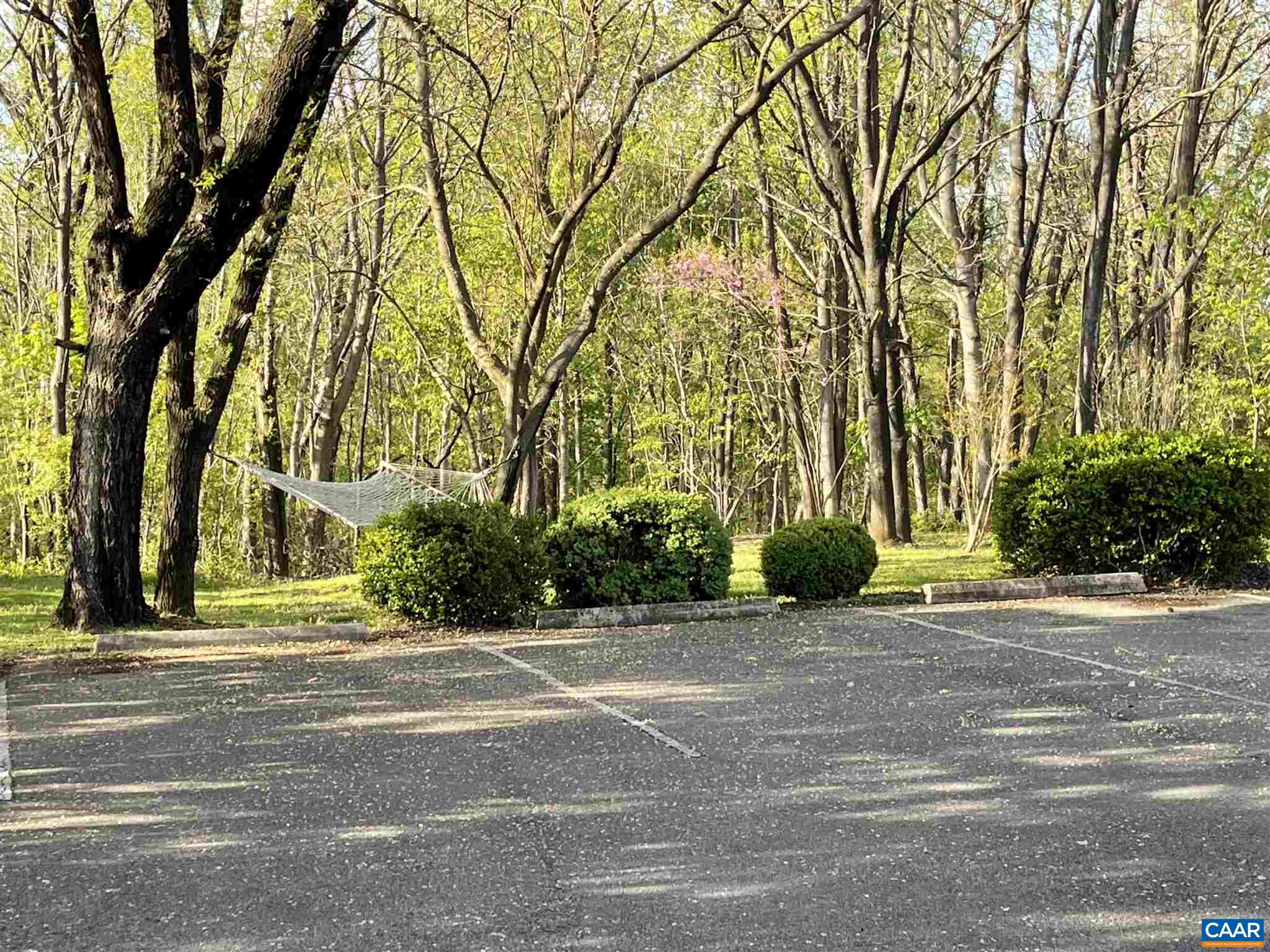 5674 Three Notch'd Road Crozet, VA 22932 - Photo 7 of 8 a view of a house with a trees and a pathway