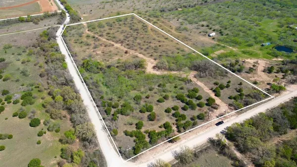 a view of a forest with a street