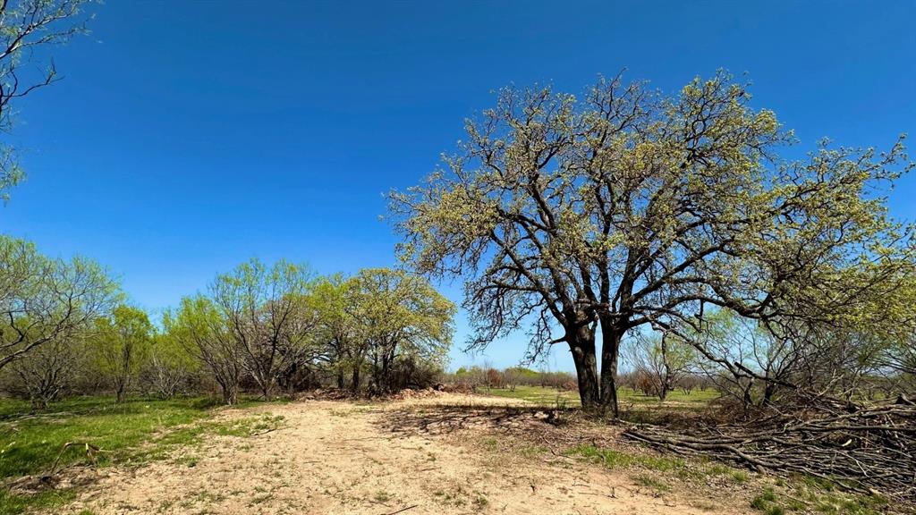 340 Ranger Tx 76470 Ranger, TX 76470 - Photo 6 of 7