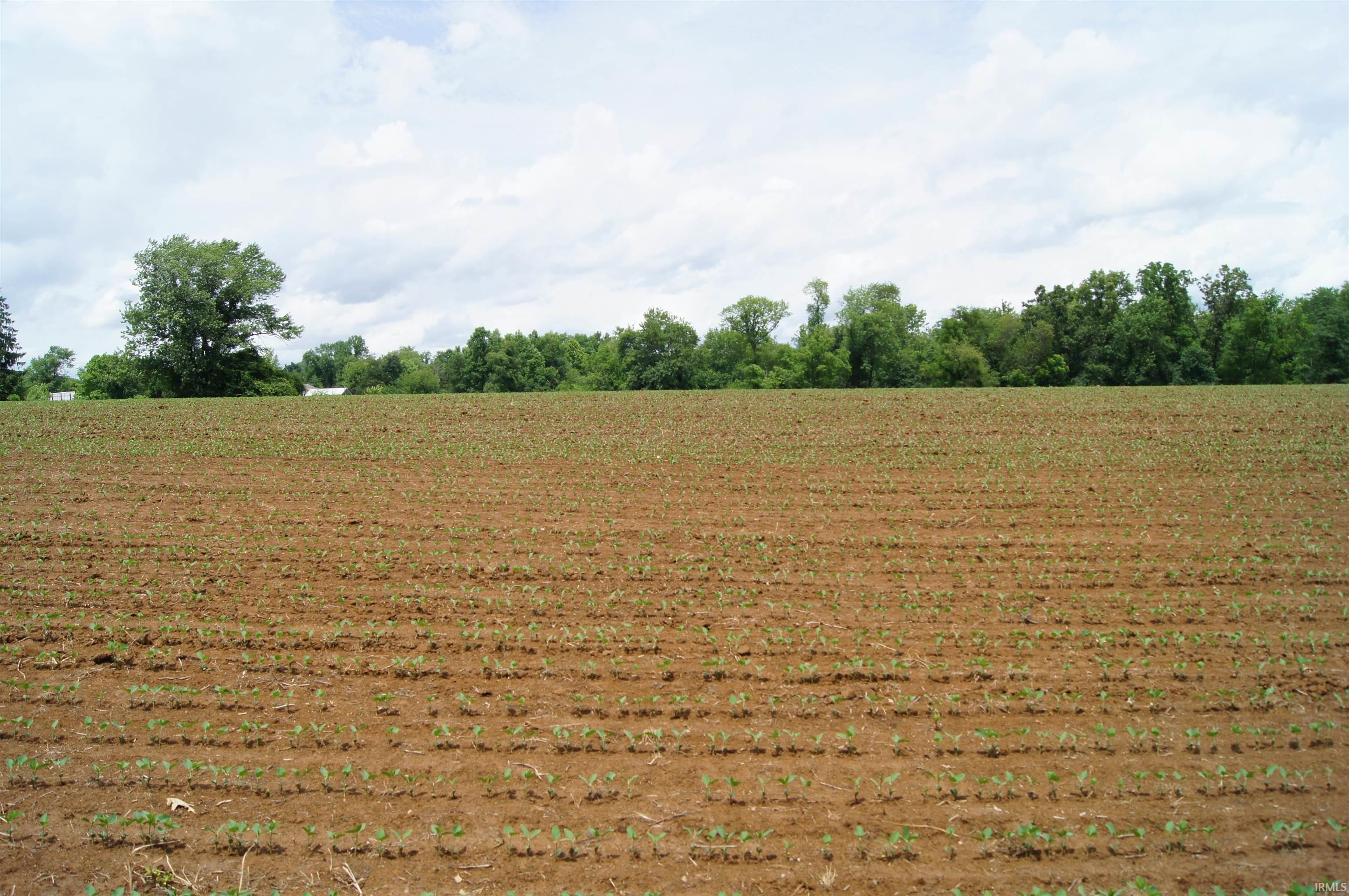 5611 State Road Boonville, IN 47601 - Photo 9 of 23 Gallery Image 9