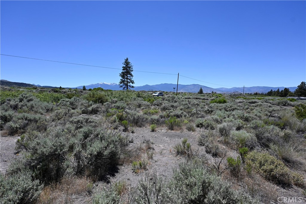 0 Timber Road Montague, CA 96064 - Photo 8 of 14