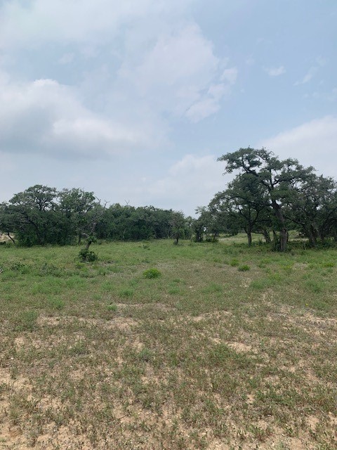 2993 Pump Station Road Wimberley, TX 78676 - Photo 11 of 21 a view of an outdoor space and a yard
