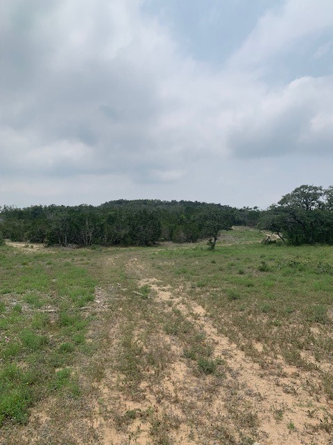 2993 Pump Station Road Wimberley, TX 78676 - Photo 13 of 21 a view of lake with green space