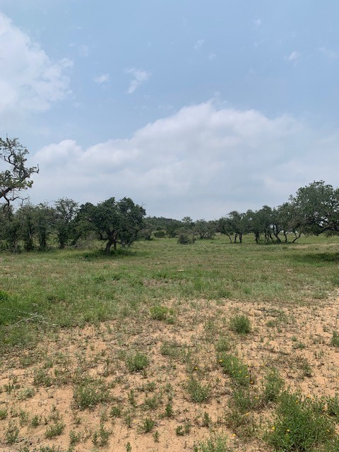 2993 Pump Station Road Wimberley, TX 78676 - Photo 16 of 21 a view of lake with green space
