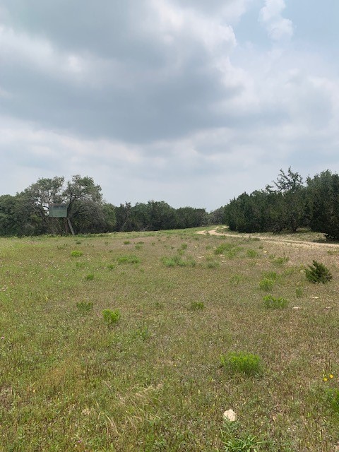 2993 Pump Station Road Wimberley, TX 78676 - Photo 7 of 21 a view of a lake with houses in the back