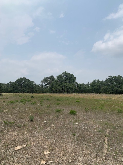 2993 Pump Station Road Wimberley, TX 78676 - Photo 8 of 21 a view of a lake view