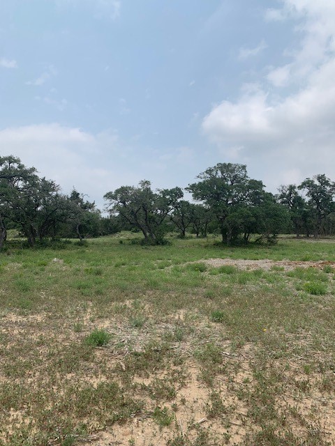 2993 Pump Station Road Wimberley, TX 78676 - Photo 10 of 21 a view of field with green space