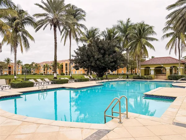 a view of a swimming pool with a lawn chairs under palm trees