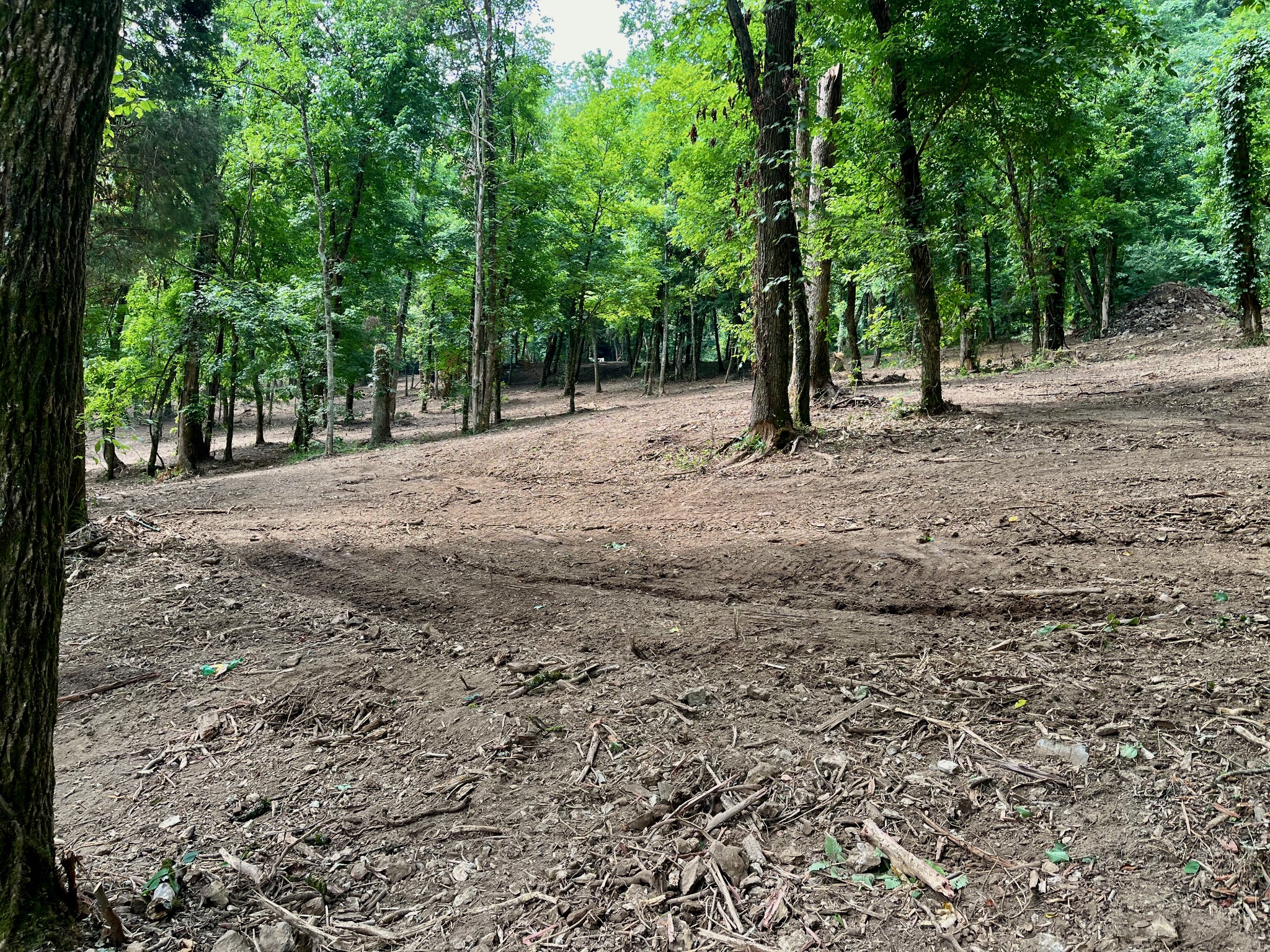 135 Dillehay Hollow Road Pleasant Shade, TN 37145 - Photo 5 of 47