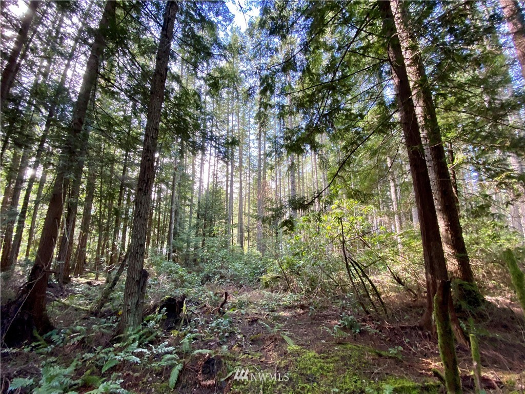 0 Olympic View Loop Road Northwest Silverdale, WA 98383 - Photo 2 of 28 Gallery Image 2