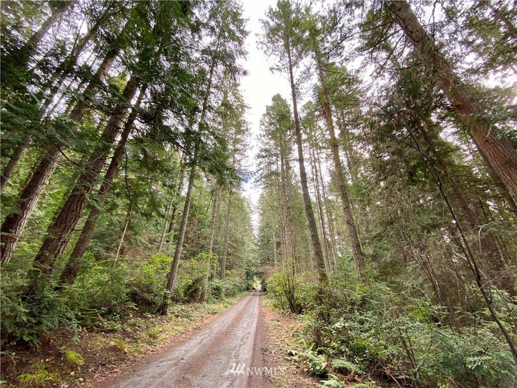 0 Olympic View Loop Road Northwest Silverdale, WA 98383 - Photo 12 of 28 Gallery Image 12