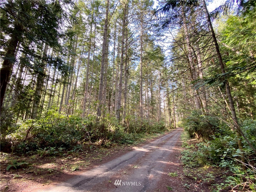 0 Olympic View Loop Road Northwest Silverdale, WA 98383 - Photo 13 of 28 Gallery Image 13