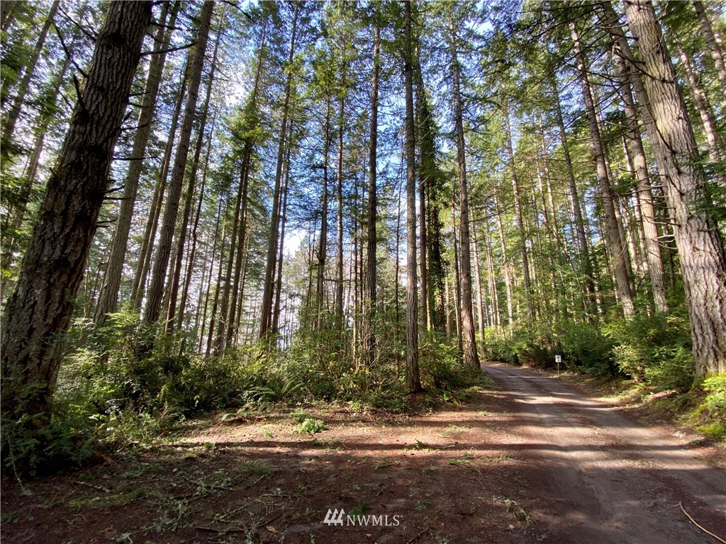 0 Olympic View Loop Road Northwest Silverdale, WA 98383 - Photo 14 of 28 Gallery Image 14