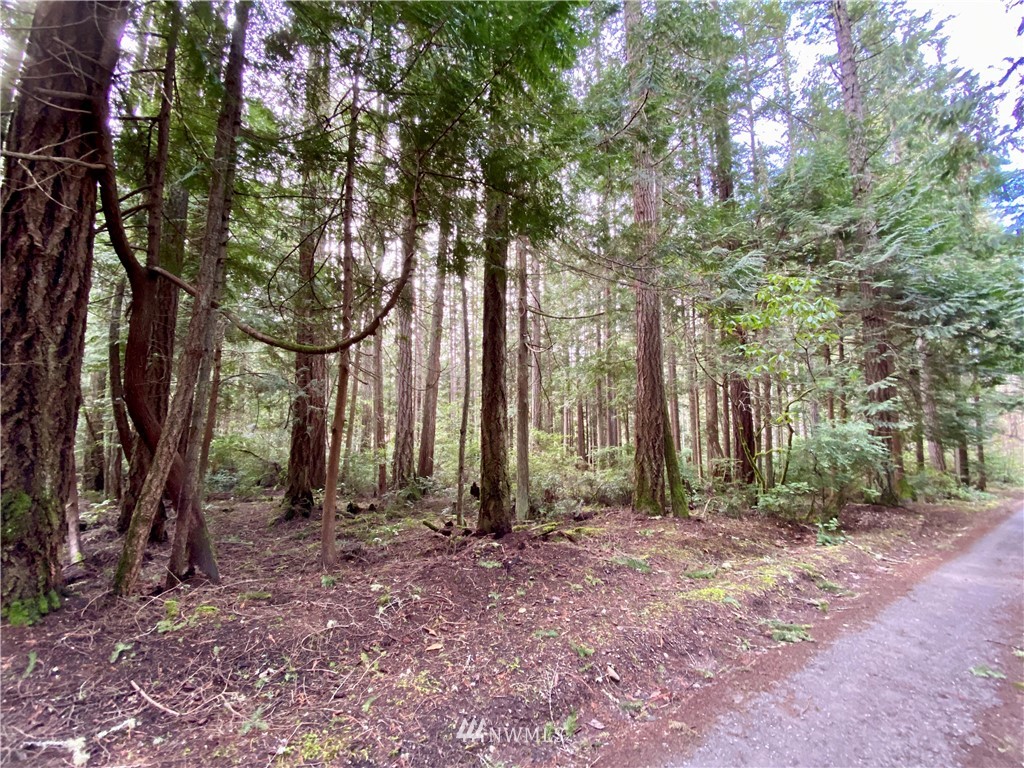 0 Olympic View Loop Road Northwest Silverdale, WA 98383 - Photo 15 of 28 Gallery Image 15