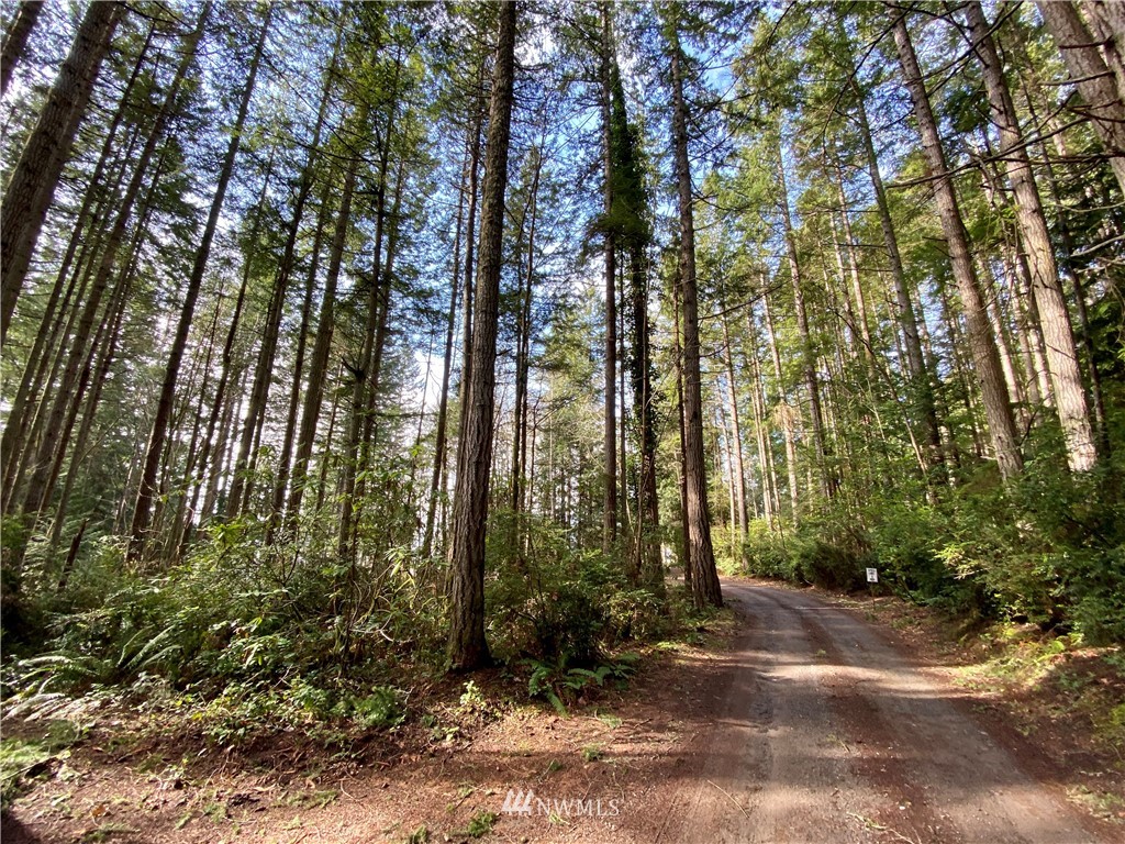 0 Olympic View Loop Road Northwest Silverdale, WA 98383 - Photo 16 of 28 Gallery Image 16