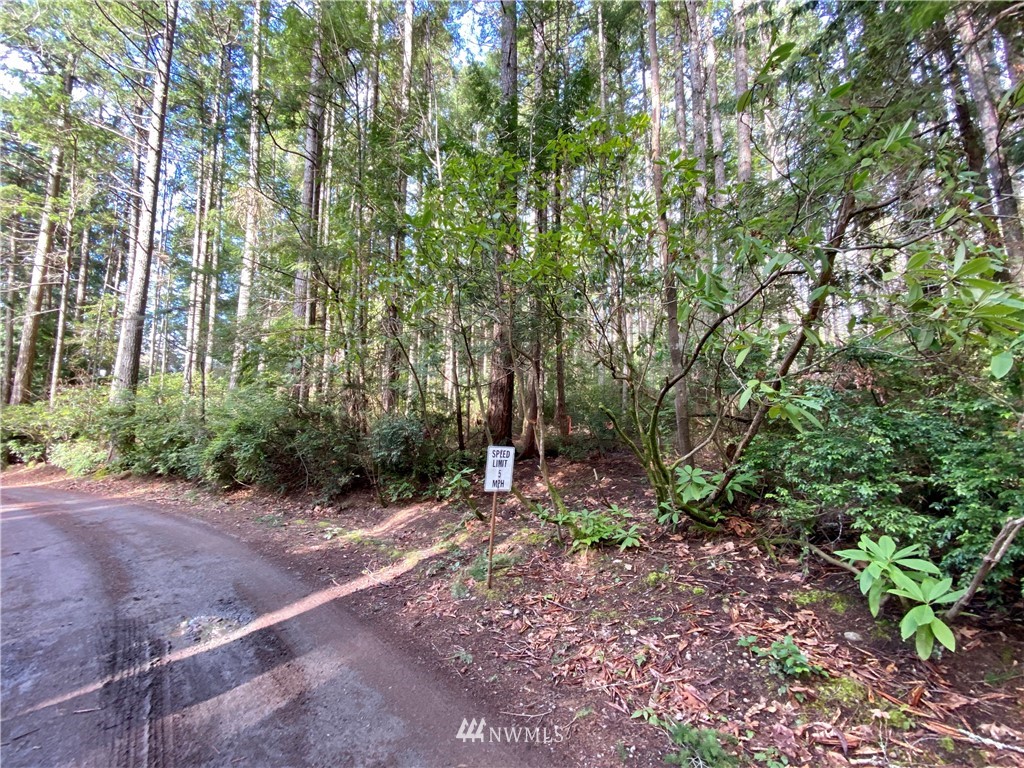 0 Olympic View Loop Road Northwest Silverdale, WA 98383 - Photo 17 of 28 Gallery Image 17