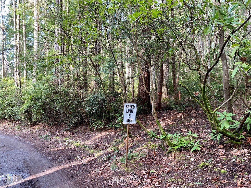 0 Olympic View Loop Road Northwest Silverdale, WA 98383 - Photo 18 of 28 Gallery Image 18