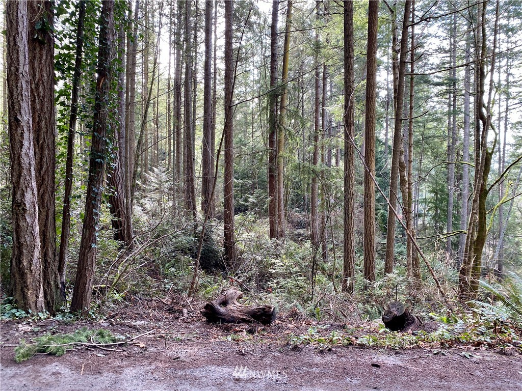 0 Olympic View Loop Road Northwest Silverdale, WA 98383 - Photo 19 of 28 Gallery Image 19