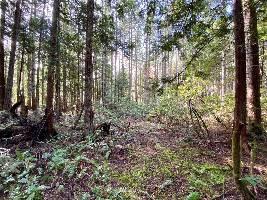 0 Olympic View Loop Road Northwest Silverdale, WA 98383 - Photo 22 of 28 Gallery Image 22