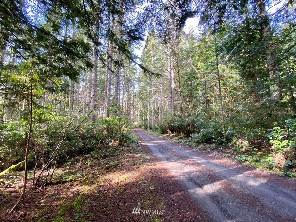 0 Olympic View Loop Road Northwest Silverdale, WA 98383 - Photo 25 of 28 Gallery Image 25