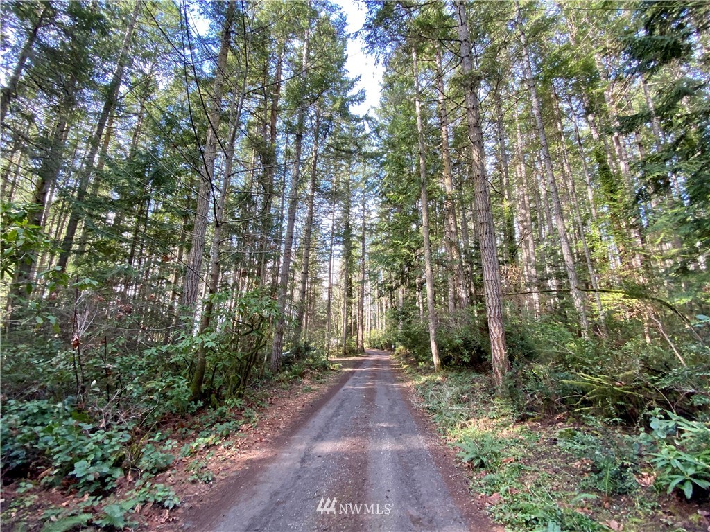 0 Olympic View Loop Road Northwest Silverdale, WA 98383 - Photo 26 of 28 Gallery Image 26