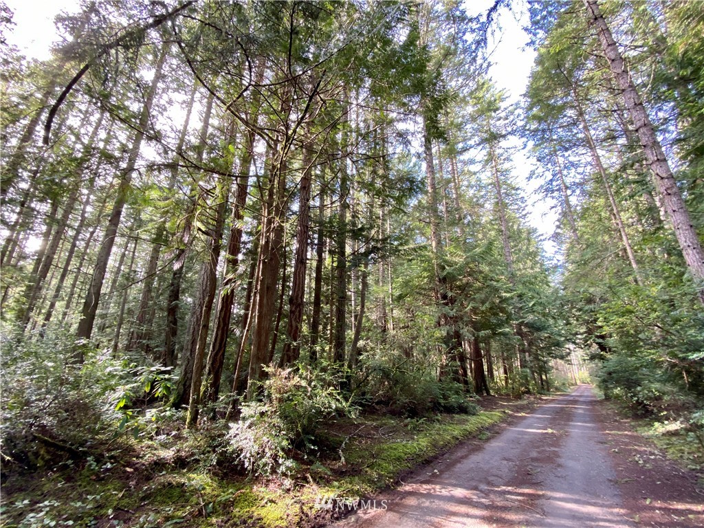 0 Olympic View Loop Road Northwest Silverdale, WA 98383 - Photo 27 of 28 Gallery Image 27