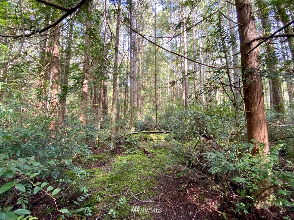 0 Olympic View Loop Road Northwest Silverdale, WA 98383 - Photo 28 of 28 Gallery Image 28