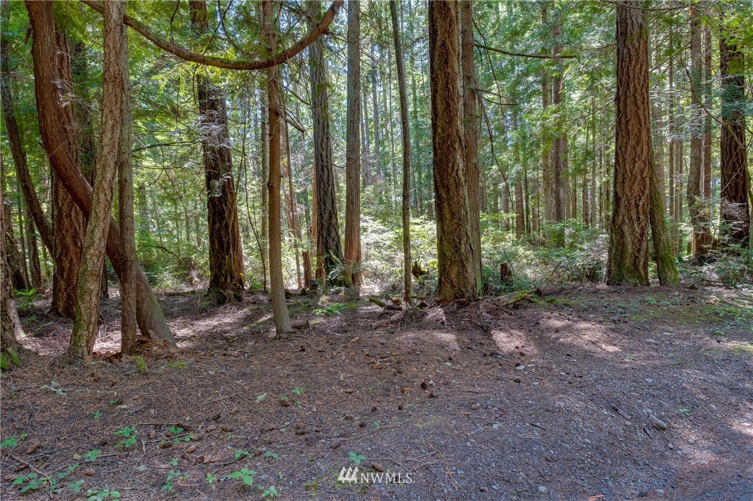 0 Olympic View Loop Road Northwest Silverdale, WA 98383 - Photo 7 of 28 Gallery Image 7
